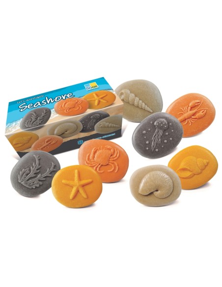 Piedras táctiles - Costa