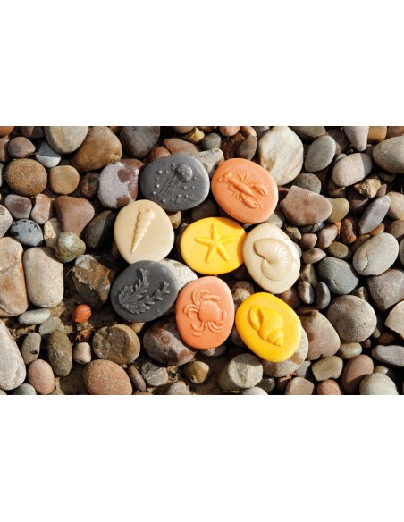 Piedras táctiles - Costa