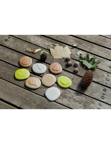 Piedras táctiles - Naturaleza
