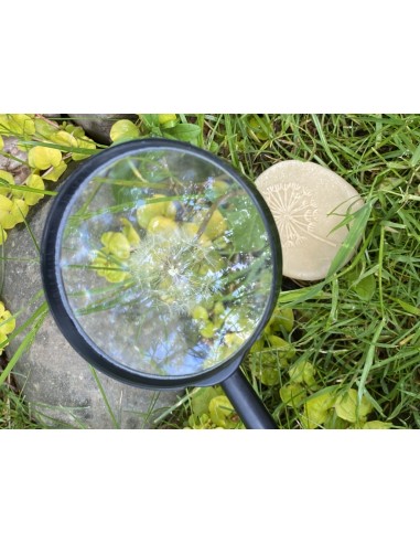 Piedras táctiles - Naturaleza