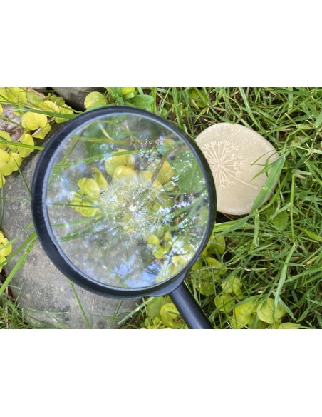 Pedres tàctils - Naturalesa