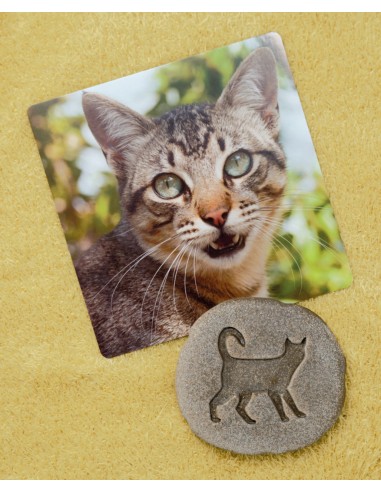 Investiga la petjada - Granja