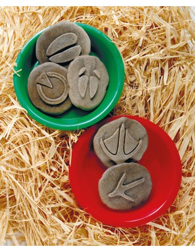 Investiga la huella - Granja