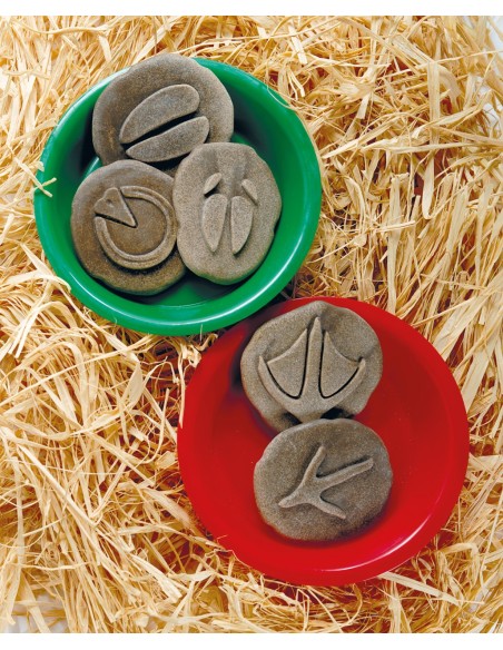 Investiga la huella - Granja