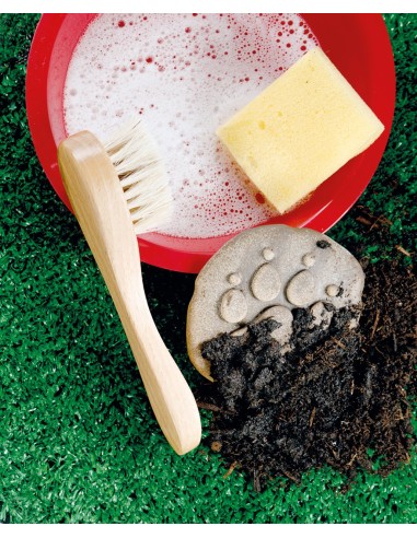 Investiga la huella - Granja