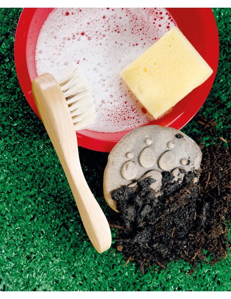 Investiga la huella - Granja