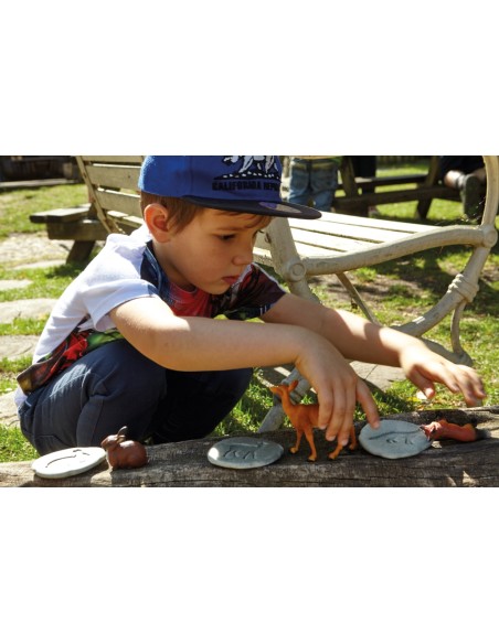 Investiga las huellas - Bosque