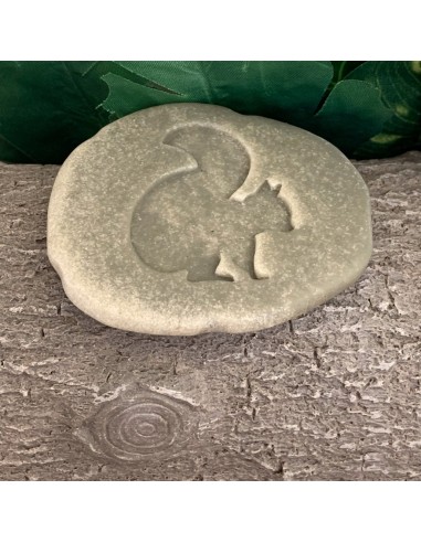 Investiga las huellas - Bosque