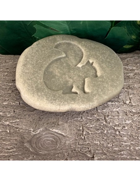 Investiga les petjades - Bosc