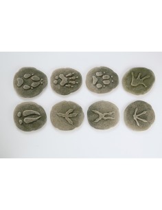 Investiga les petjades - Bosc 2