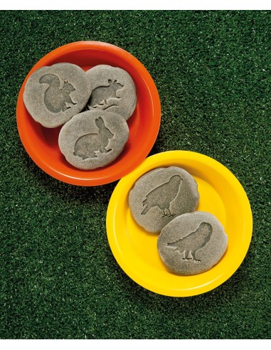 Investiga les petjades - Bosc