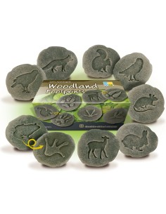 Investiga las huellas - Bosque