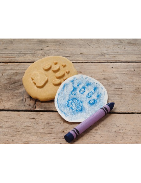 Investiga les petjades - Safari