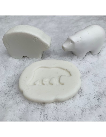 Investiga las huellas - Polar