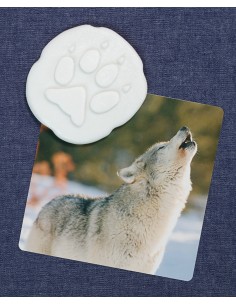 Investiga les petjades - Polar 2