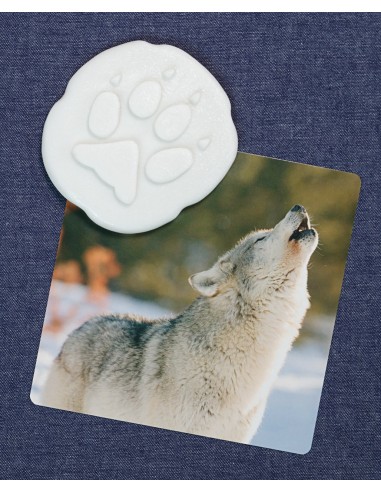 Investiga les petjades - Polar