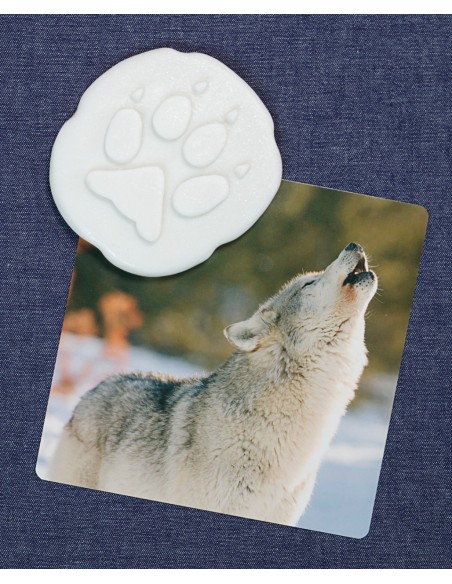 Investiga les petjades - Polar