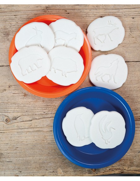 Investiga las huellas - Polar