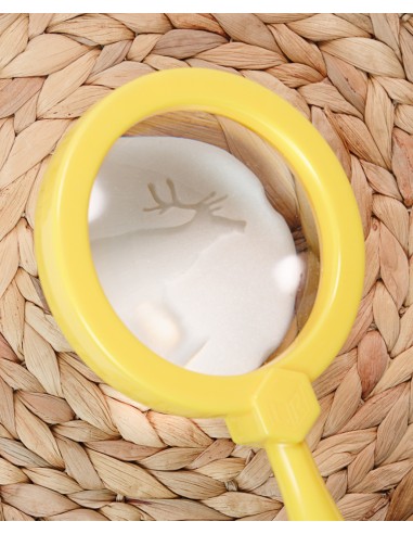 Investiga las huellas - Polar