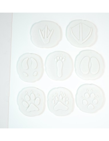 Investiga las huellas - Polar