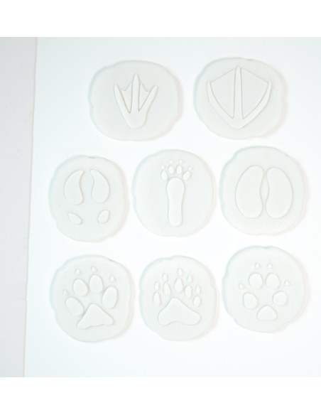 Investiga las huellas - Polar