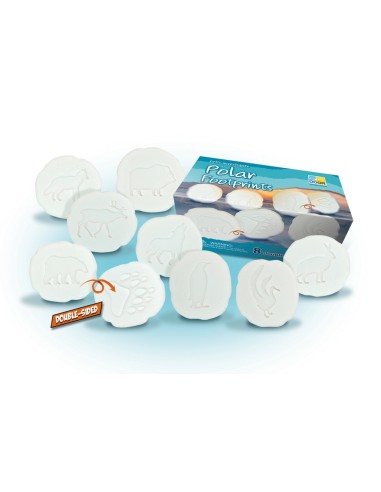 Investiga les petjades - Polar