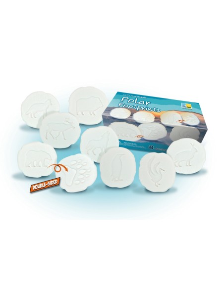 Investiga las huellas - Polar