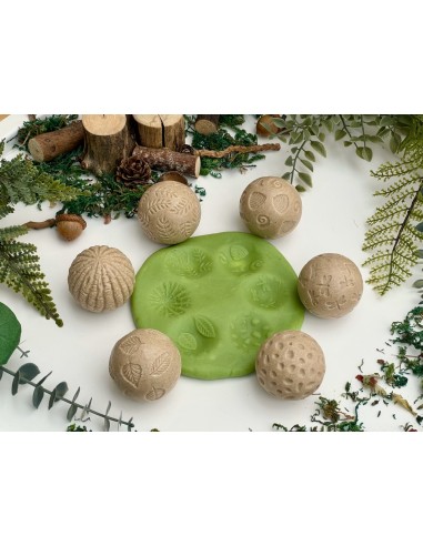 Rodillos de texturas del mundo natural