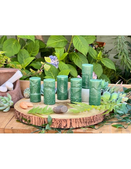 Rodets de textures del món dels Dinosaures