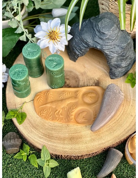 Rodets de textures del món dels Dinosaures