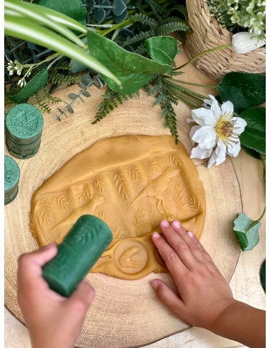 Rodillos de texturas del mundo de los...