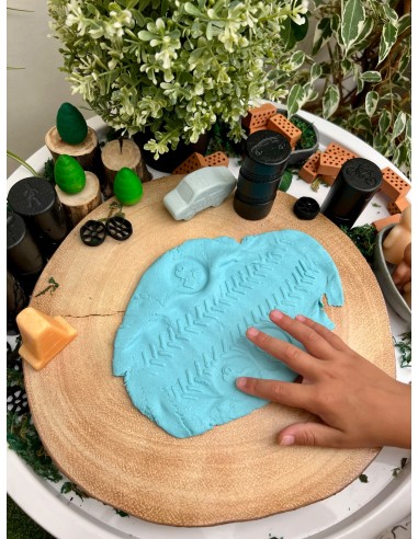 Rodillos de texturas del mundo del...