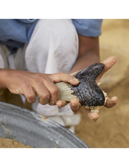 Joc de dents de tauró Super Shark - 40 peces