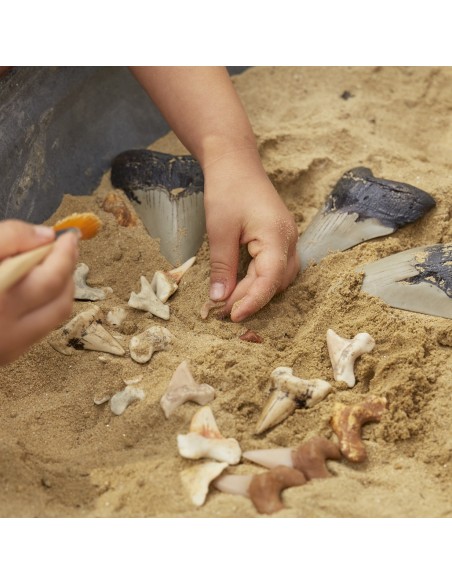 Joc de dents de tauró Super Shark - 40 peces