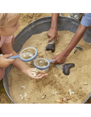 Juego de dientes de tiburón Super...