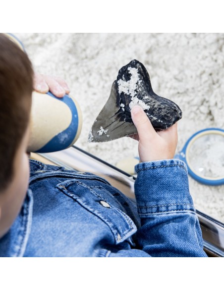 Juego de dientes de tiburón Super Shark - 40 piezas