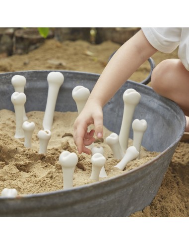 Juego de huesos grandes - 20 piezas