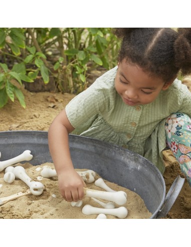 Juego de huesos grandes - 20 piezas