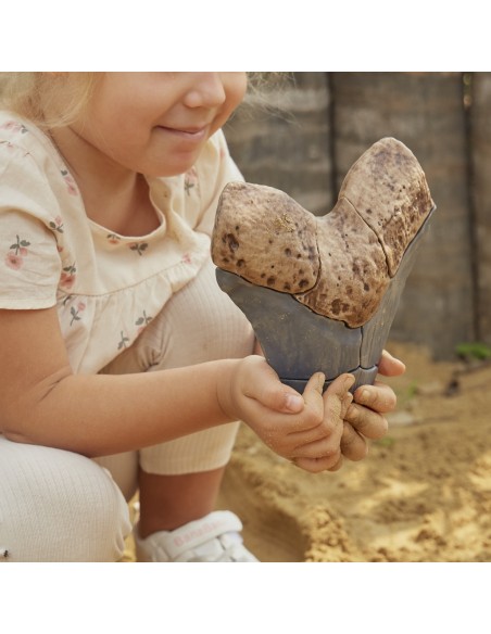 Diente de Megalodón - Rompecabezas 3D de fósiles magnéticos