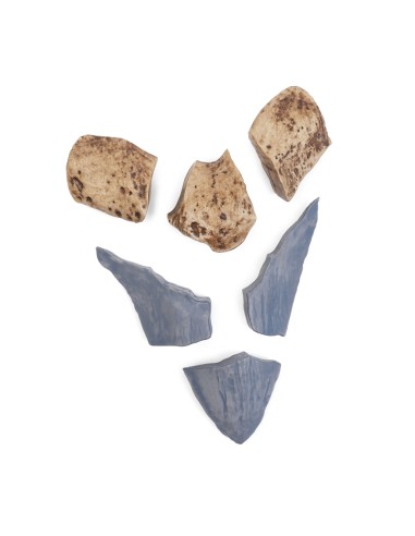 Diente de Megalodón - Rompecabezas 3D...