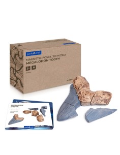 Dent de Megalodont -...