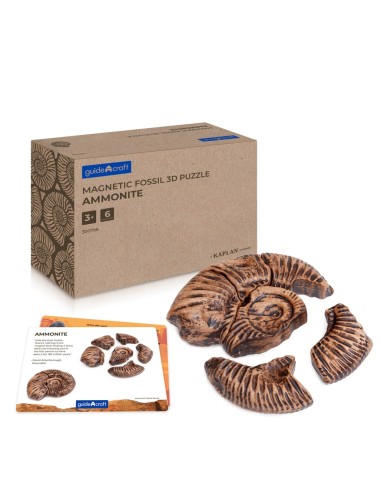 Ammonit - Trencaclosques 3D de...
