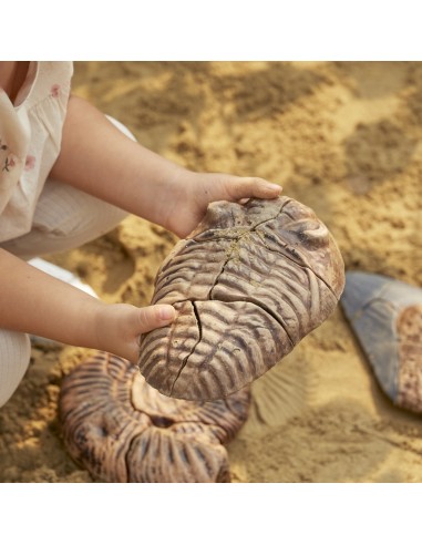 Trilobit - Trencaclosques 3D de...