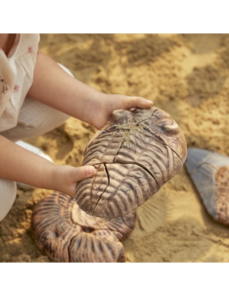 Trilobite - Rompecabezas 3D de fósiles magnéticos