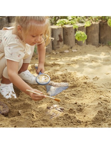 Trilobit - Trencaclosques 3D de...