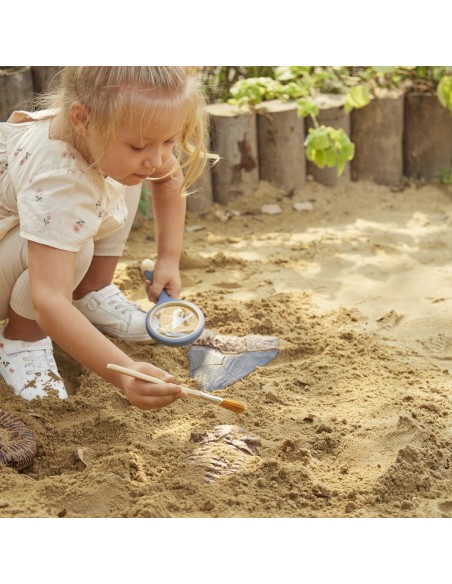 Trilobite - Rompecabezas 3D de fósiles magnéticos