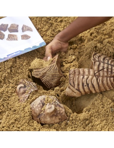 Trilobit - Trencaclosques 3D de...