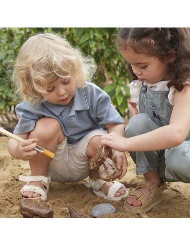 Piedras fósiles magnéticas - 6 piezas