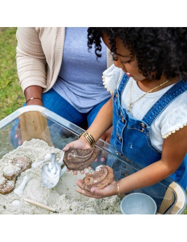 Pedres fòssils magnètiques - 6 peces