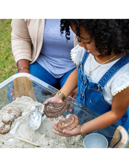 Pedres fòssils magnètiques - 6 peces